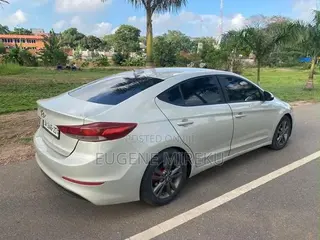 Hyundai Elantra 2017 Gray