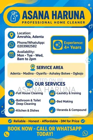 Pprofessional Home Cleaner