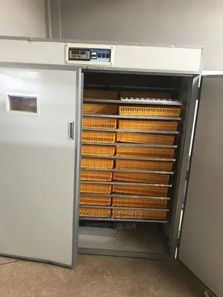 Automatic Incubator