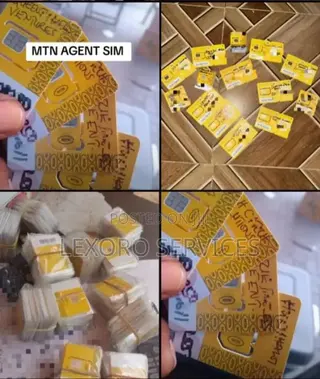 Momo Agent Sim for Mobile Money Business
