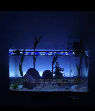 Tabletop Aquarium Setup With Fishes