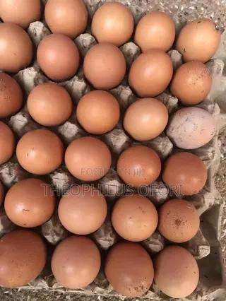 Eggs and Poultry Feeders for Sale