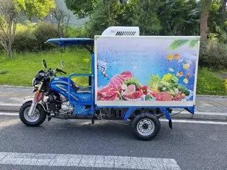 New Tricycle 2026 Blue