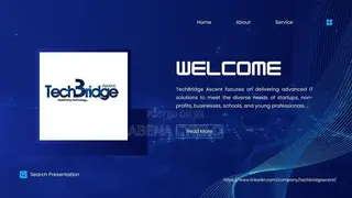 Website Developer