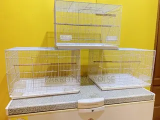 Wide White Bird Cage