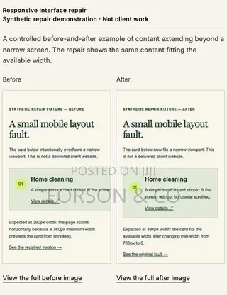 Fix or Complete Your Existing Web App