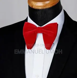Classy Velvet Bow Tie