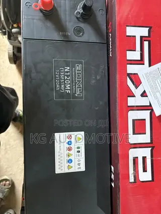 21 Plate Aokly Battery