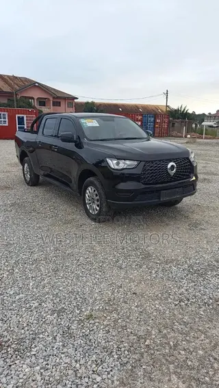 Great Wall Poer 2020 Black
