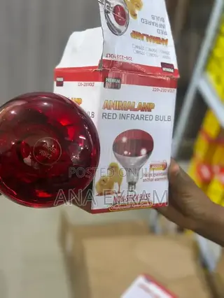 Poultry Lamp