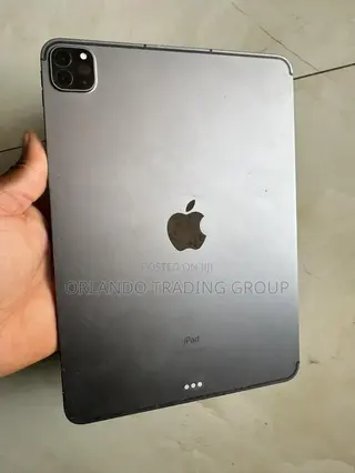 Apple iPad Pro 11 (2024) 256 GB Gray