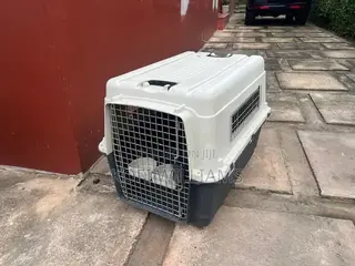 Import X Export Dog Crate