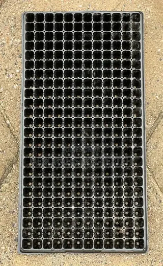 Seedling Tray