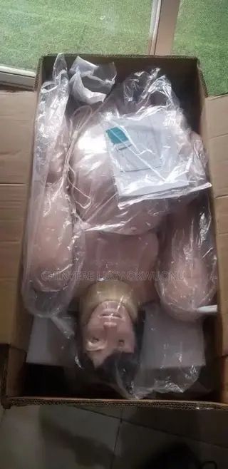 Delivery Mannequin