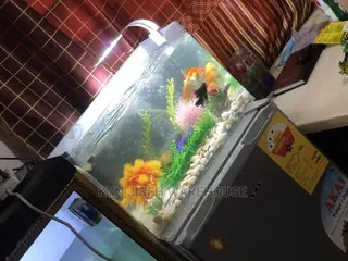 Merlin Tabletop Aquarium With 5 Fishes