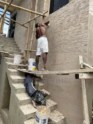 Professional Painter