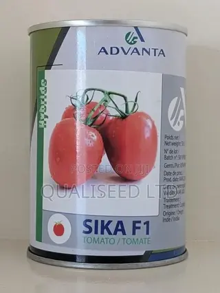 Tomato Sika F1