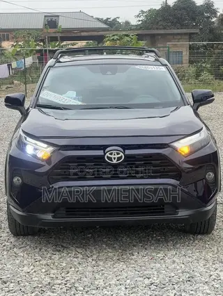 Toyota RAV4 2024 Blue