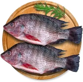 Tilapia Fresh Food Available