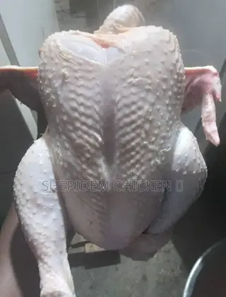 Hot Sale Broilers, Healthy, and Lively.