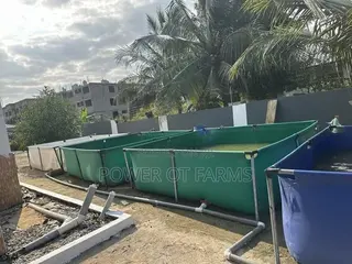 Tarpaulin Fish Pond 1000L Heavy Duty - For Catfish Tilapia - Winneba