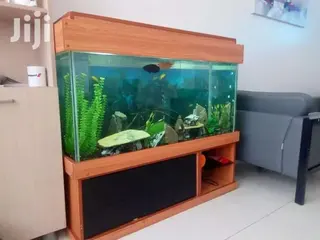 Aquarium