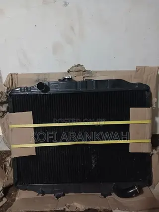 Hyndai Grace (H 100)