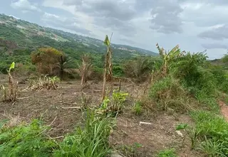 Land for Sale at Ashongman Boi