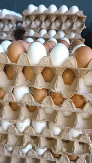 Diamond Eggs