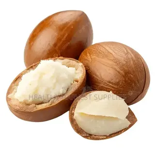 Shea Nuts and Shea Butter Available for Sale