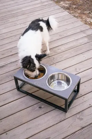 Quality and Simple Dog Feeder