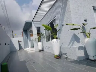 Best Graffiato Paint