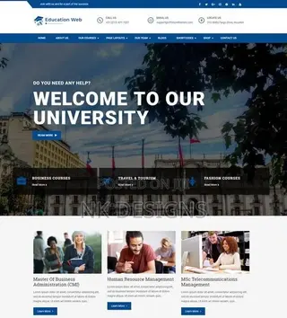 Professional Website Designer