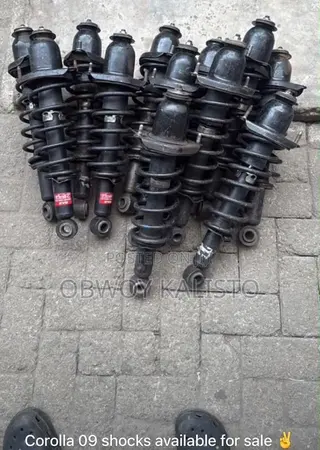 CO 09 Shocks