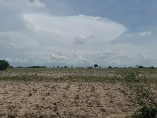 Affordable Land for Sale in Sege
