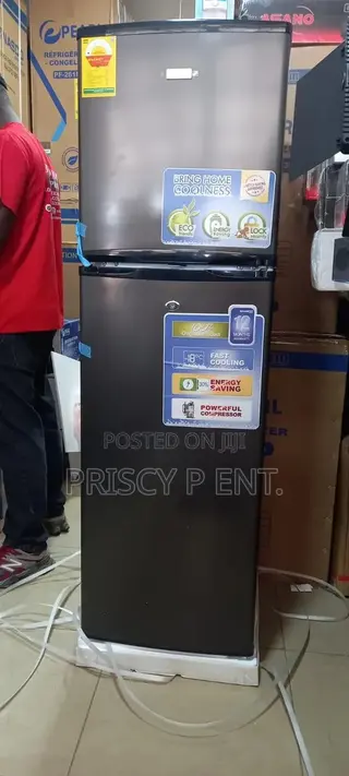 Frost Free Refrigerator