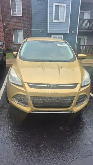Ford Escape 2014 Gold