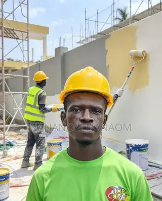 Professional Building Painter