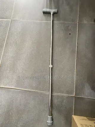 Walking Stick