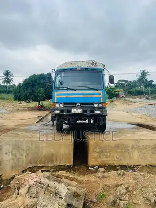 Hyundai Truck 1995 Blue