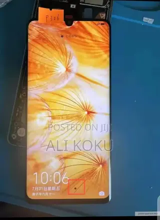 Huawei P30 Pro Screen. With Small Dot