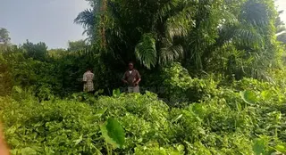 Farm Land for Sale