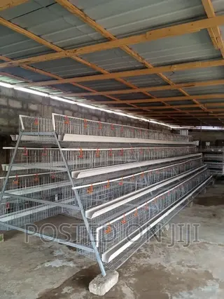 Poultry Chicken Cage