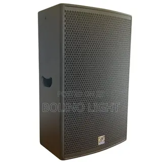 Single 15 Inch Speaker
