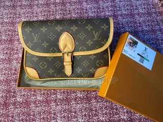 Louis Vuitton Ladies Bag