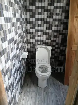 Pipe Leakages,W.C Fixing,Basin Fixing,Shower Fixing,kitchen Sink