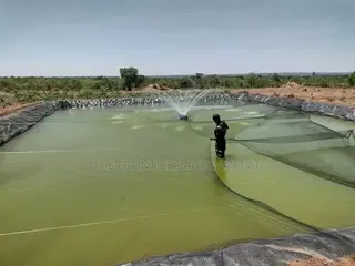 Commercial Earthen Pond