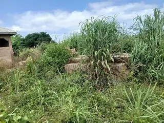 Land With Footing