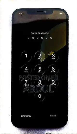 Apple iPhone 12 Pro Max 256 GB Silver