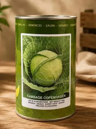 Cabbage Copenhagen